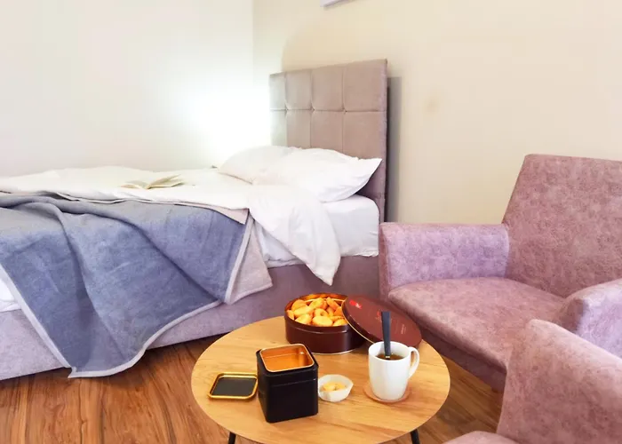 Dani Lux Belgrade Center Studio Apartment