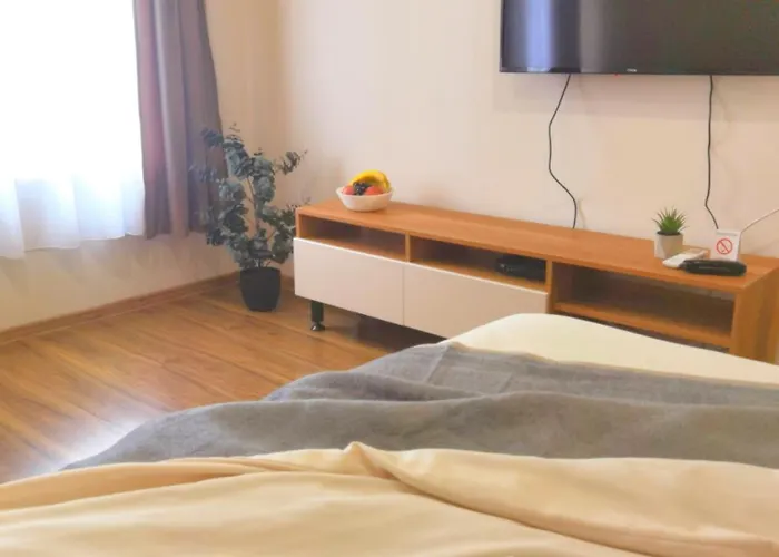 Dani Lux Belgrade Center Studio Apartment