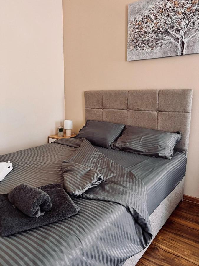 Dani Lux Center Apartment Belgrade